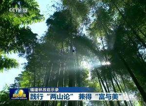 长汀新闻爆料,揭秘当地重大事件背后真相  第1张